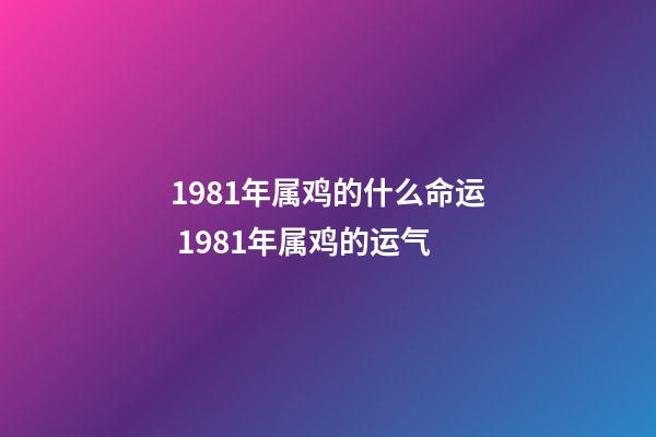 1981年属鸡的什么命运 1981年属鸡的运气